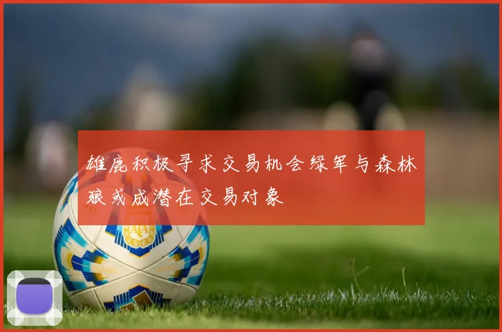 雄鹿积极寻求交易机会绿军与森林狼或成潜在交易对象